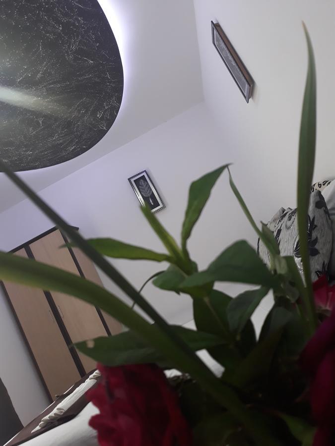 Apartments Aza Dobra Voda Εξωτερικό φωτογραφία